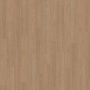 Futuro 500 | Rigid Click