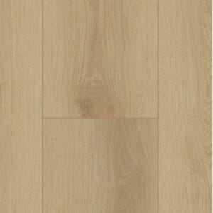 Firmfit 6500 (dryback)