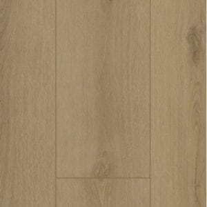 Firmfit 6501 (dryback)