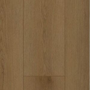 Firmfit 6503 (dryback)