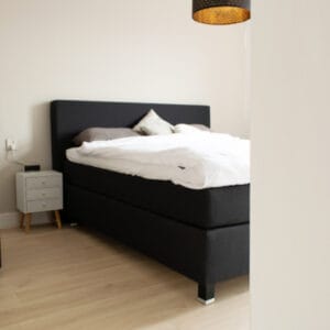 Noblesse Classic 40171